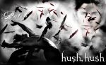 hush hush patch2