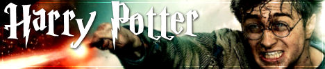 harry potter banner