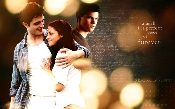 november2012_breaking dawn