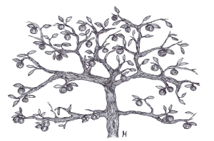 Illustration from The Dragon's Egg