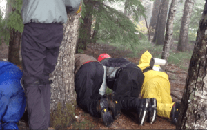 Evidence seearch training 2