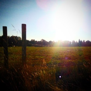 10483566_1459860497602560_1574151591_n