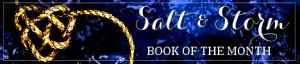 salt and storm botm banner