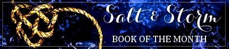 salt and storm botm banner