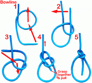 bowline-300x269