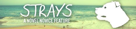 Strays Feature Banner